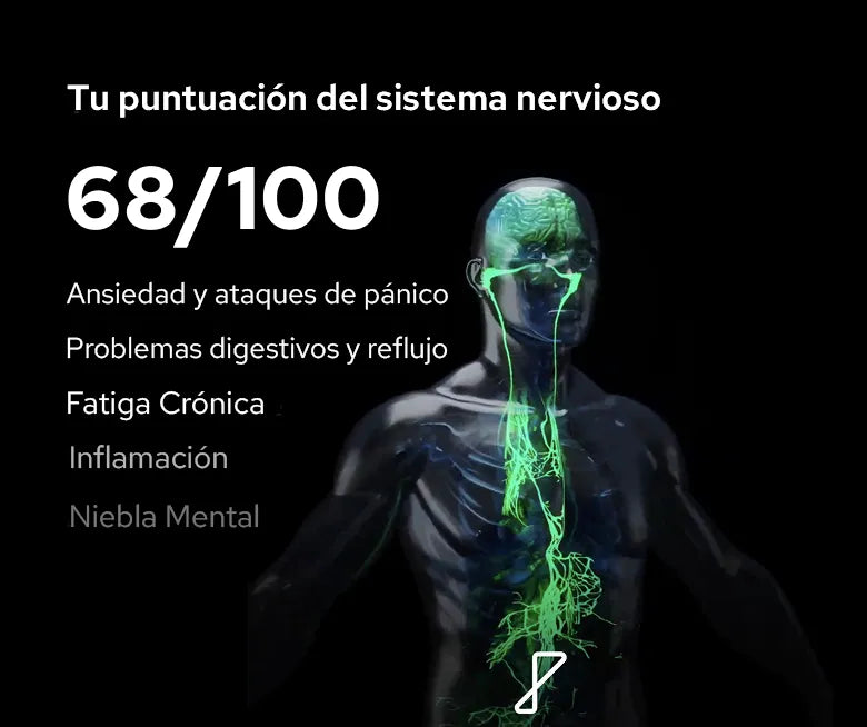 Vagus Nerve