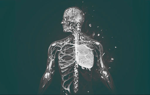 Inflammation – A Double-Edged Sword