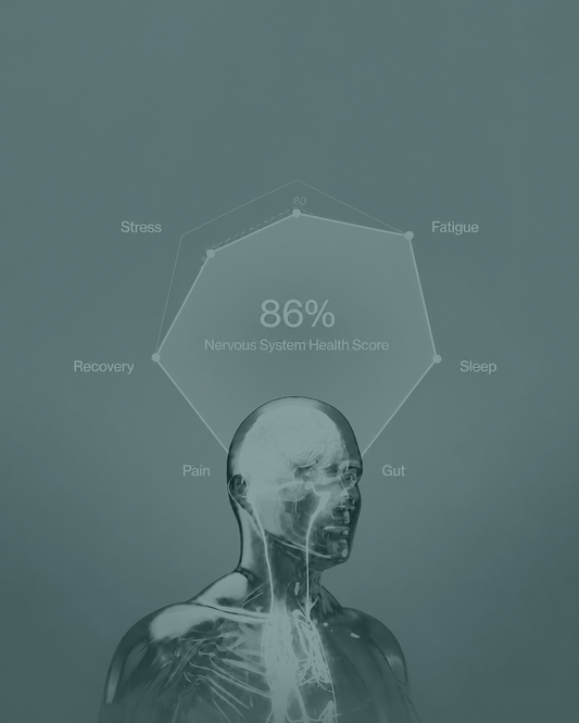 Vagus Nerve Test: Free Online Test to Check Your Nervous System at Home