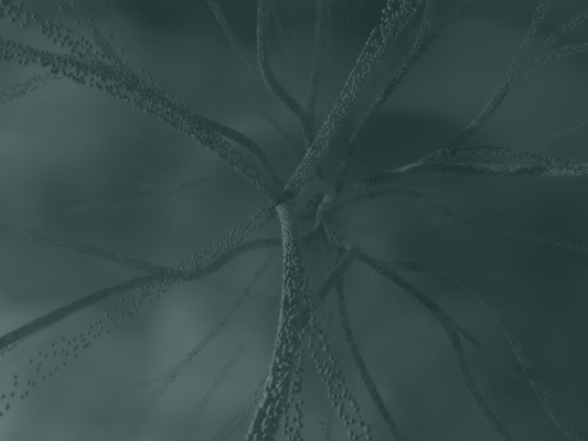 Vagus Nerve Dysfunction: Symptoms, Causes and Treatment