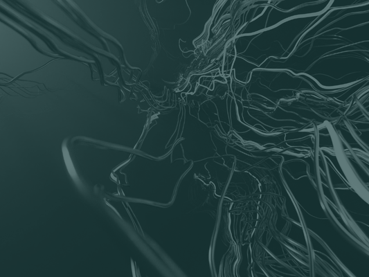 Vagus Nerve Function: How It Regulates Your Body and Why It Matters