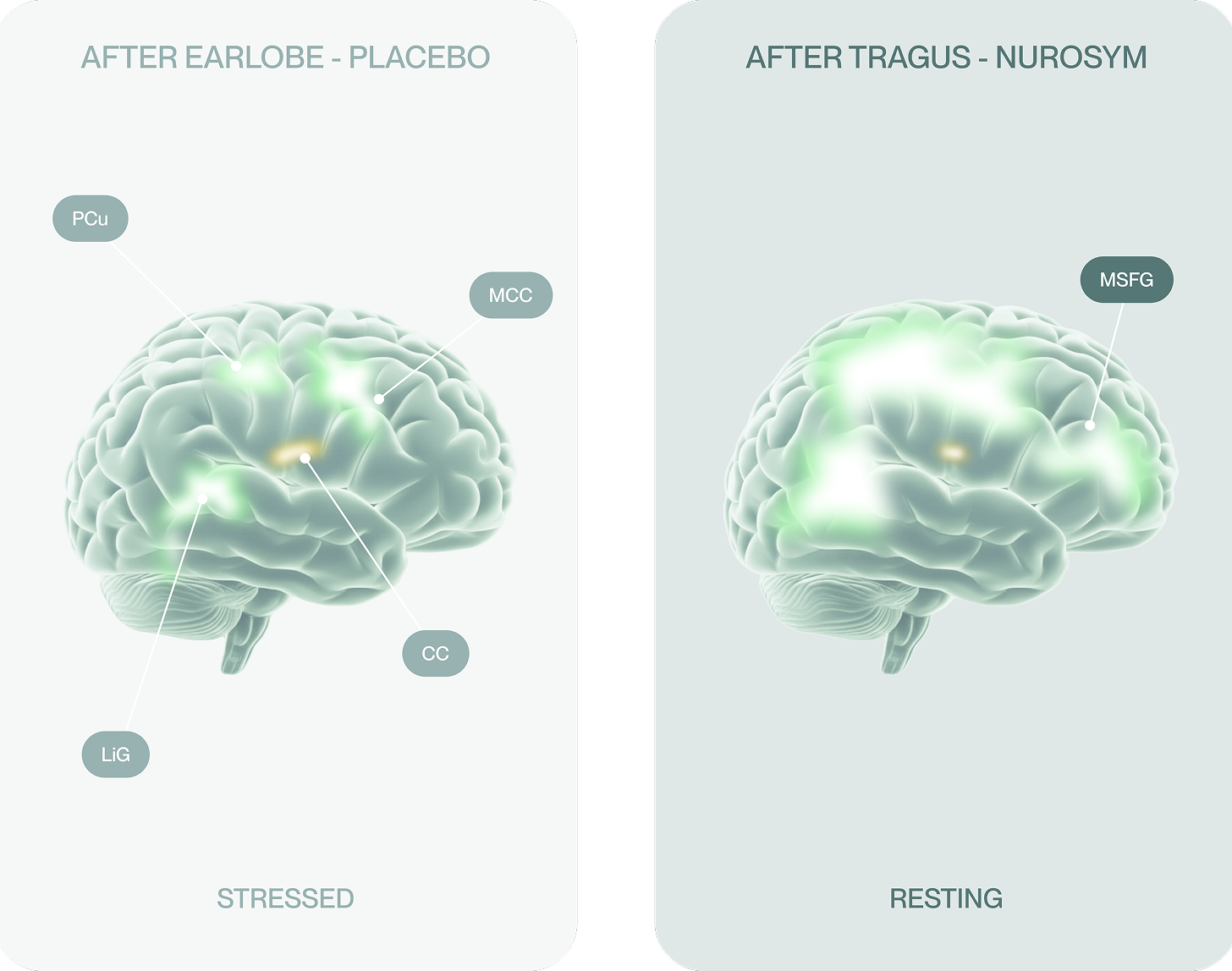 how-it-works1-mobile