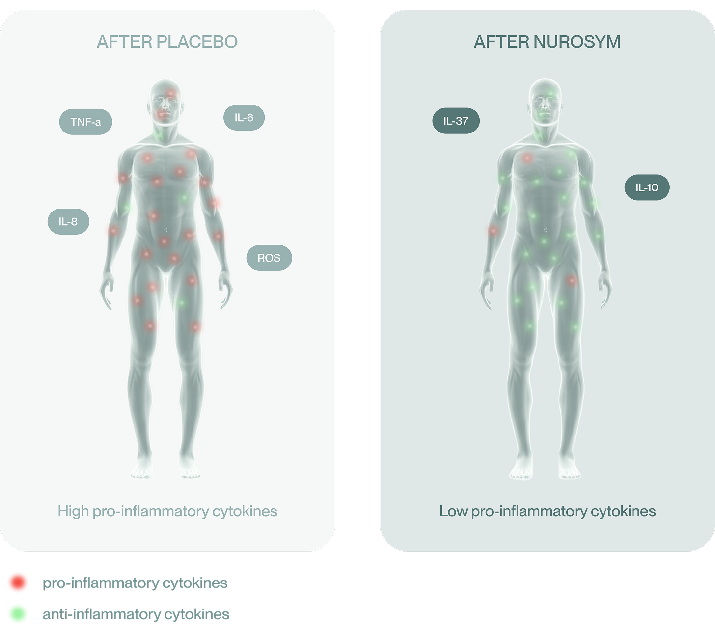 how-it-works2-mobile