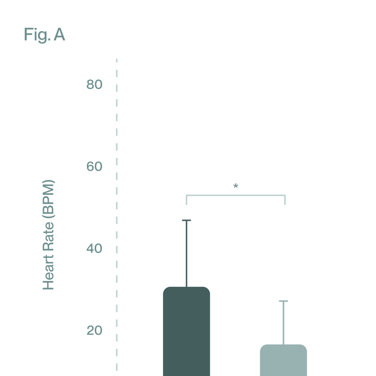 Cardiovascular Support