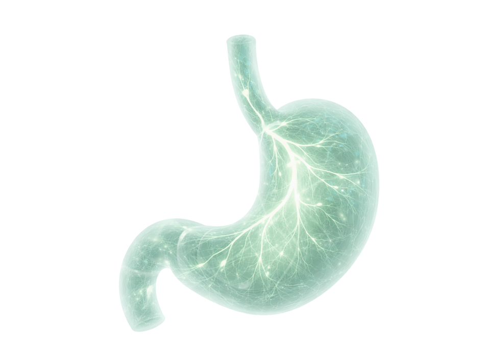 Stimulate Gut Function