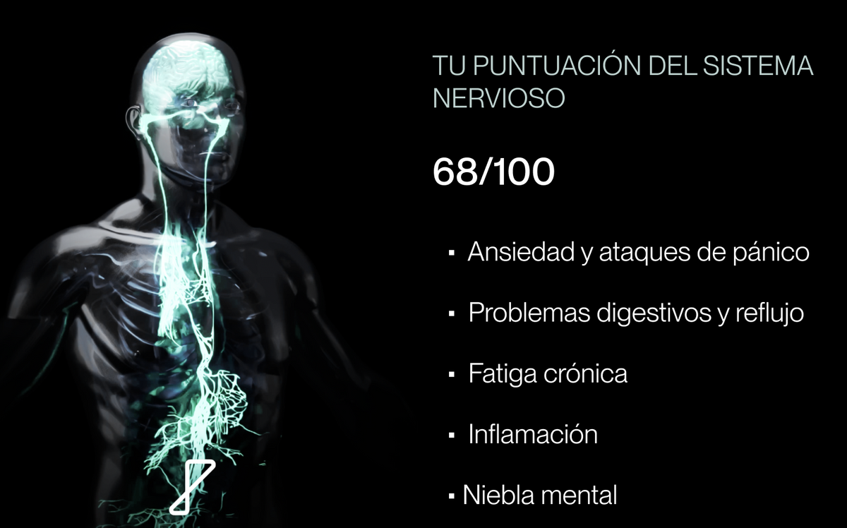 Vagus Nerve