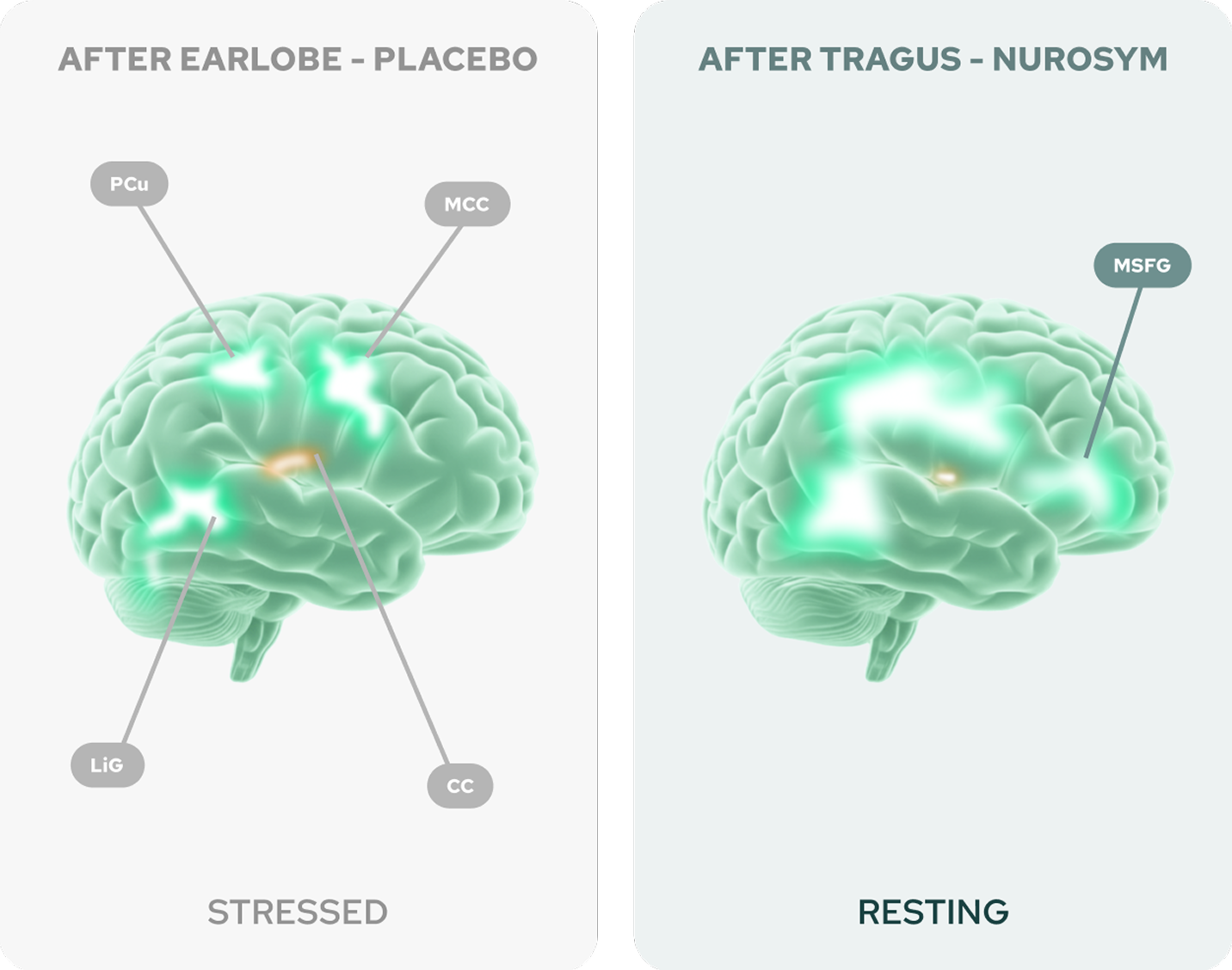 how-it-works1-mobile