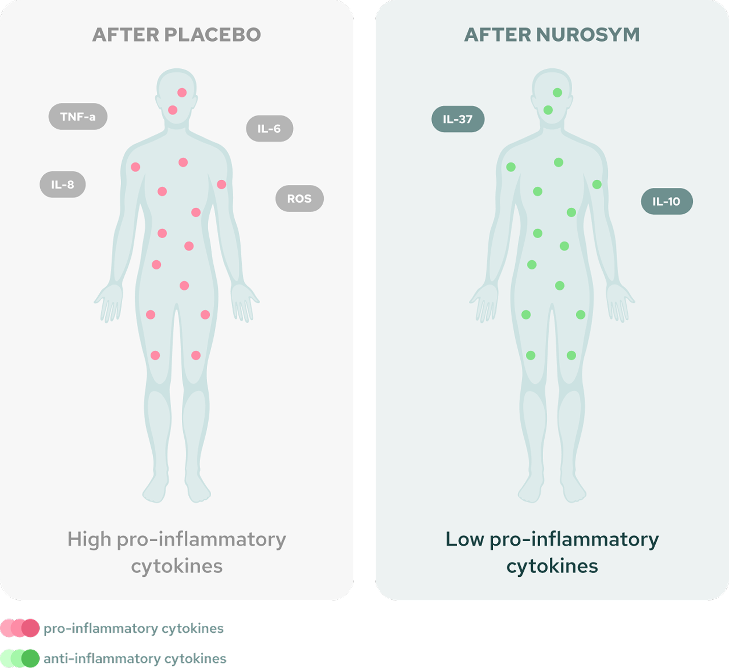 INFLAMMATORY CYTOKINES REDUCTION image mobile