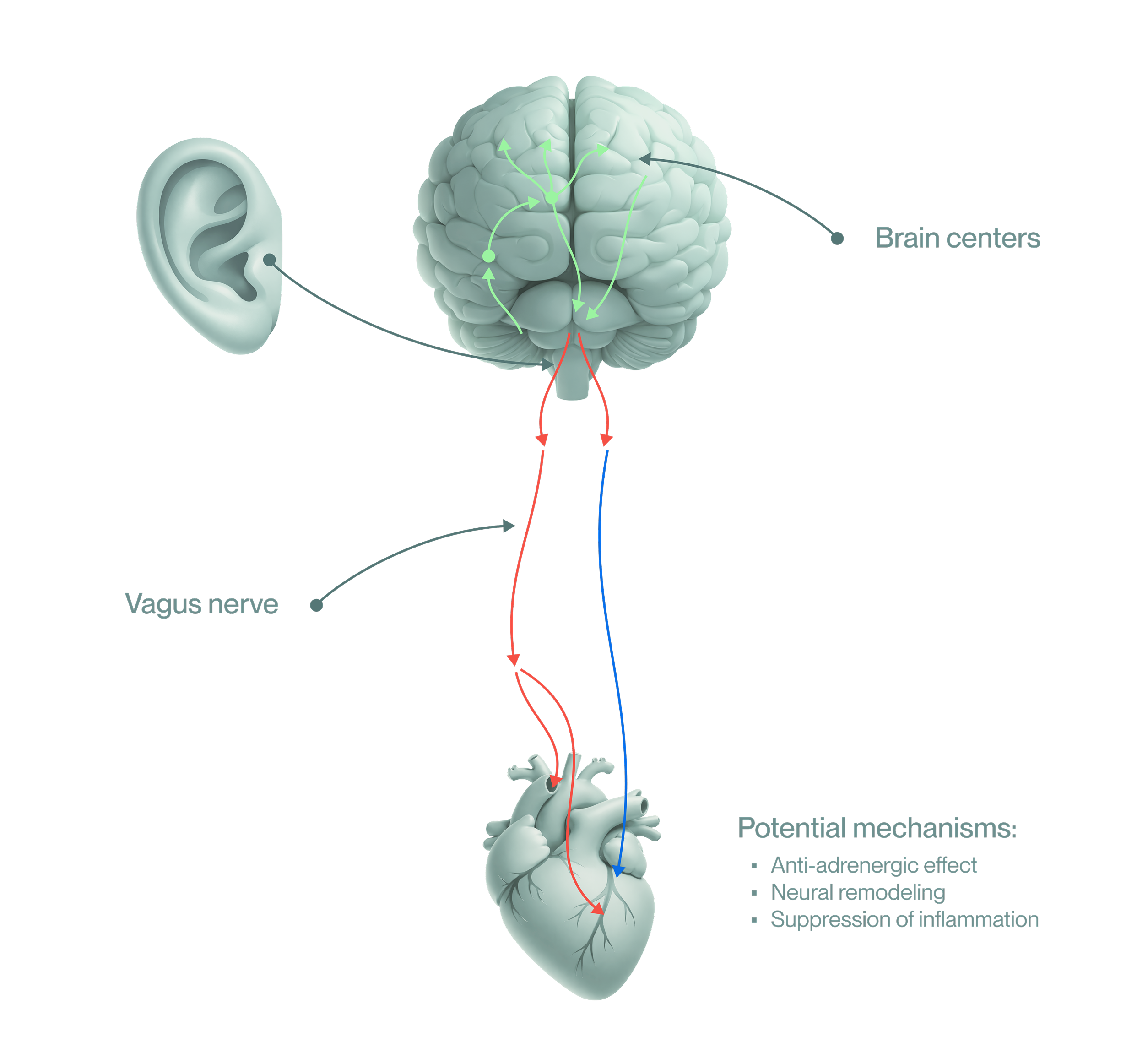 Potential-Mechanism Image