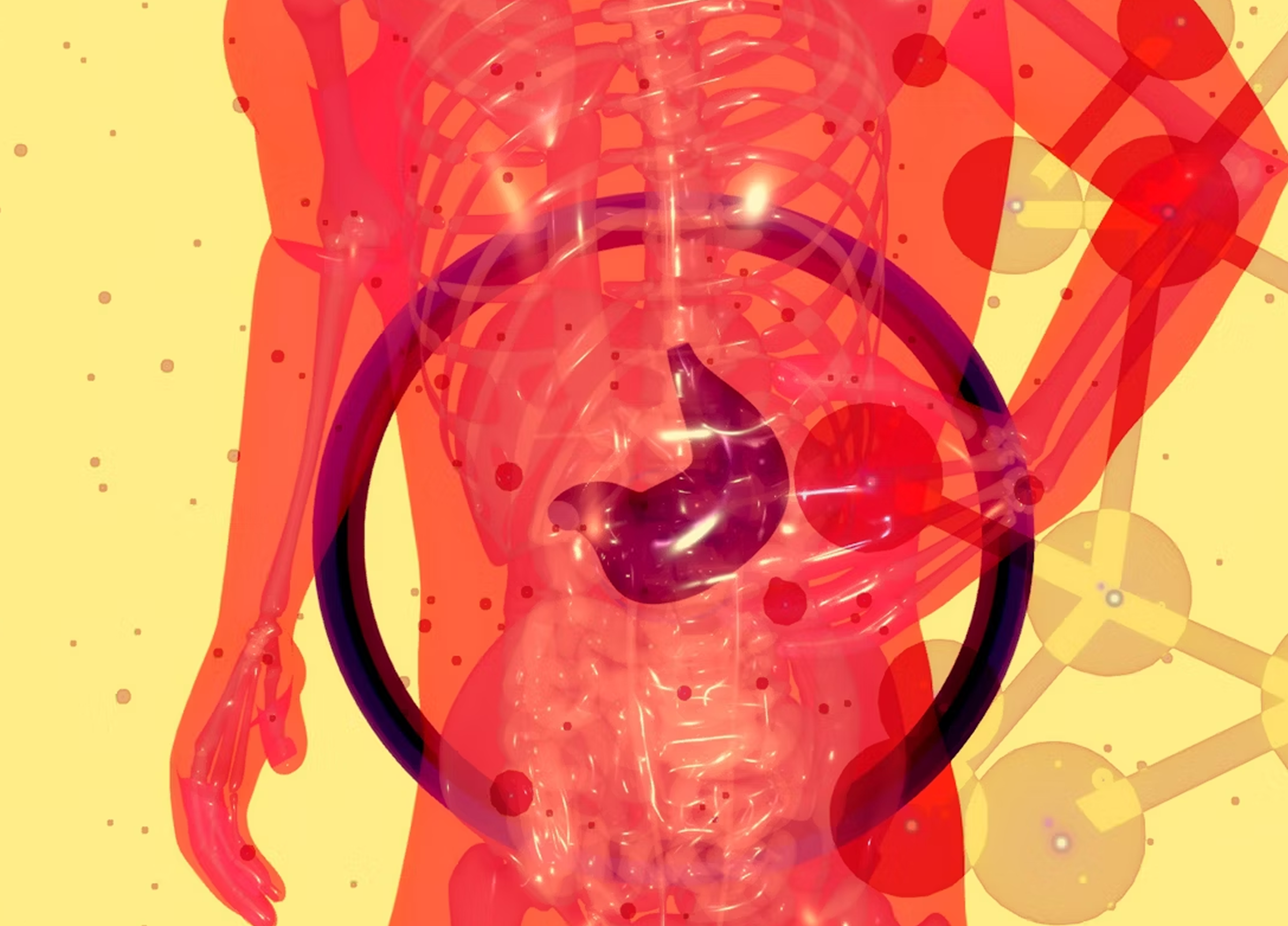 Pop-up-image