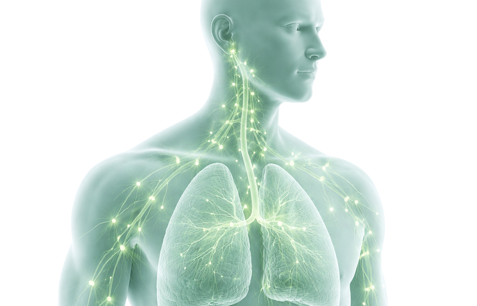 Support Immune System