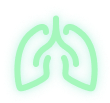 list-icon