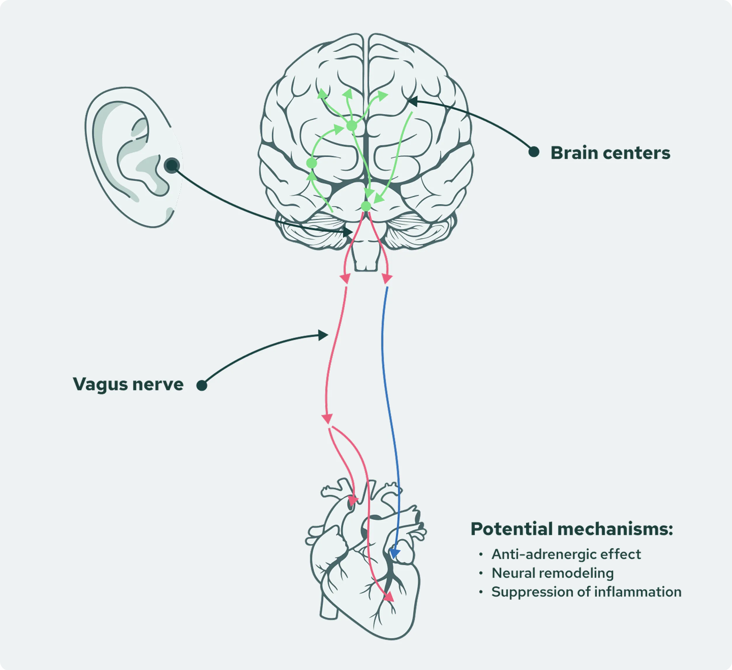 Potential-Mechanism Image