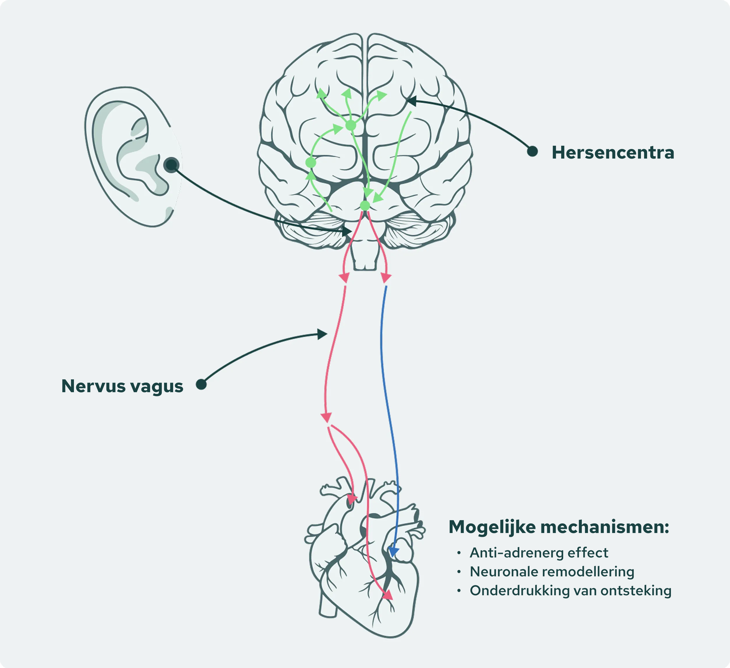Potential-Mechanism Image
