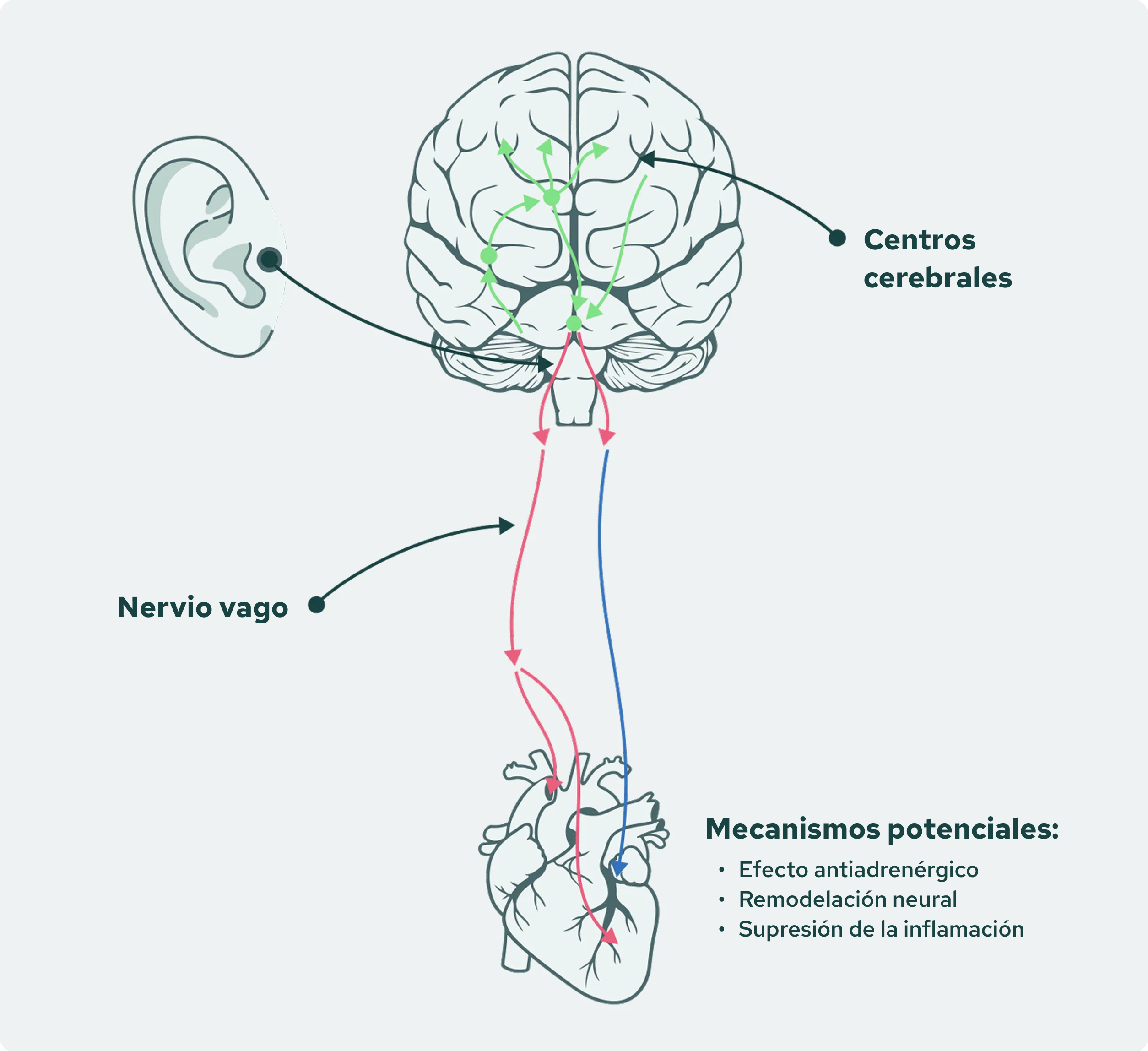 Potential-Mechanism Image