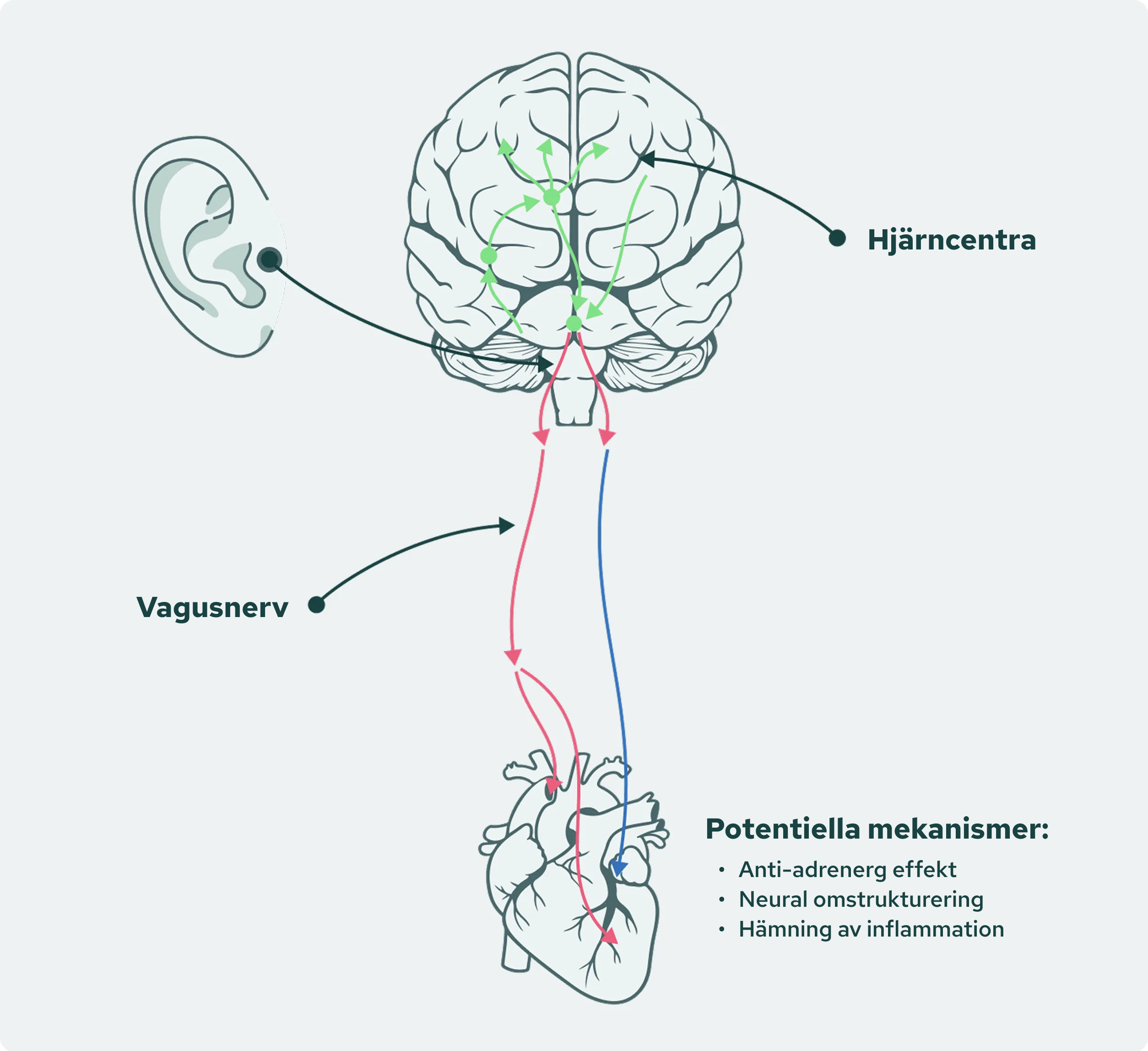 Potential-Mechanism Image